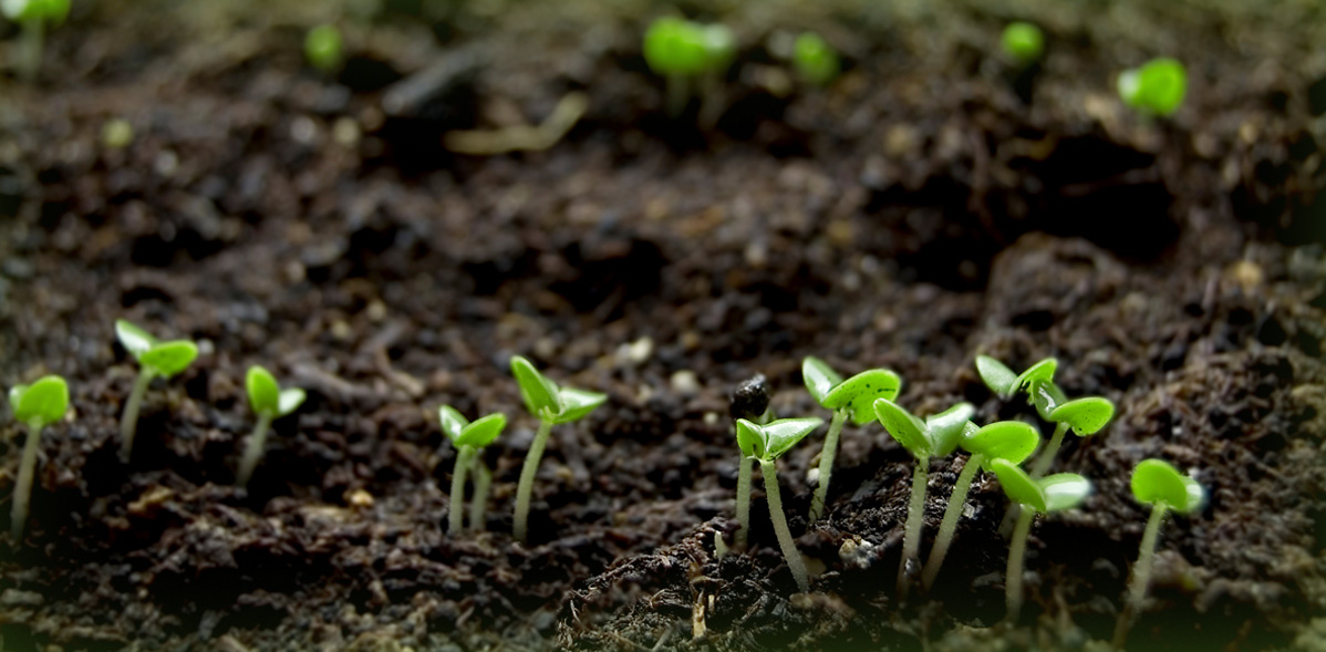 La QUALITA' non è semplicemente un concetto per noi,  bensì il CUORE della NOSTRA MISSIONE